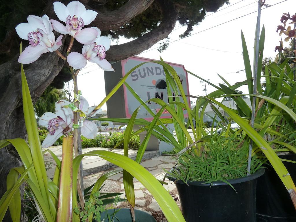 Sundown Inn Of Morro Bay Buitenkant foto